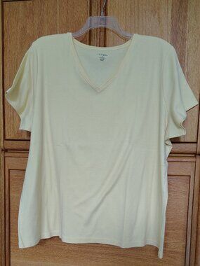 CC HUGHES LIGHT YELLOW V NECK T SHIRT WOMEN'S PLUS SIZE 4X